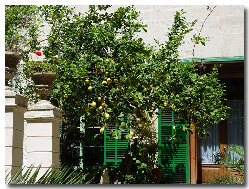 Mallorca-21